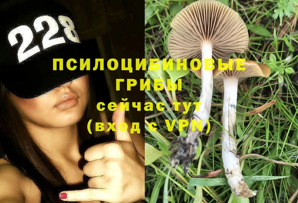 трава Баксан