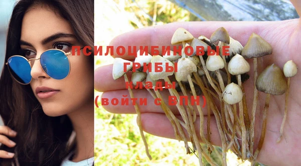ПСИЛОЦИБИНОВЫЕ ГРИБЫ Балахна